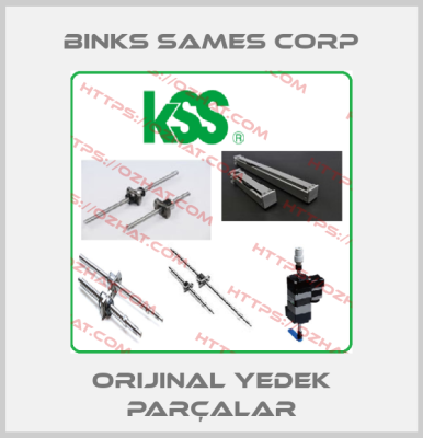 Binks Sames Corp