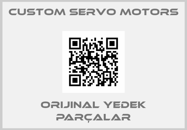 Custom Servo Motors