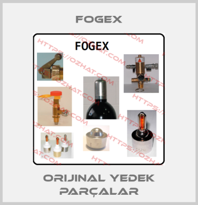 Fogex