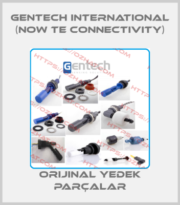 Gentech International (now TE Connectivity)