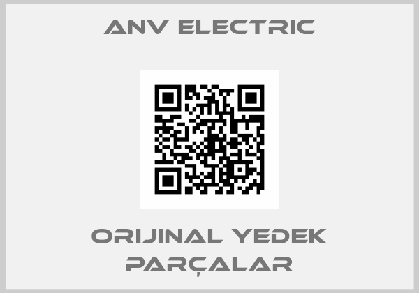 ANV Electric