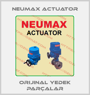 Neumax Actuator